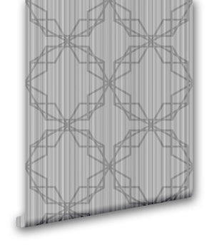 Geodesic Fun II - Wallpapers.com